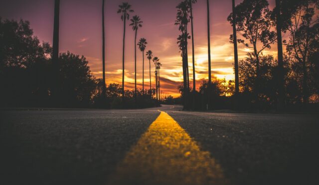 pexels-photo-248159